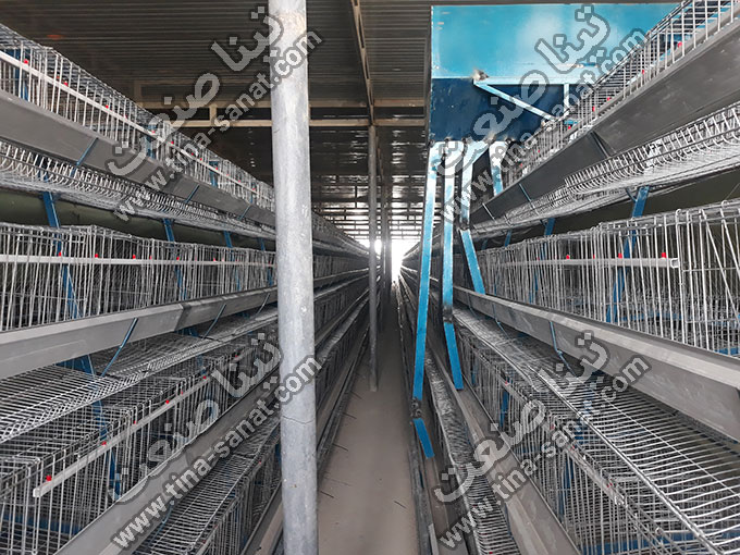  قفس مرغ تخمگذار منبری ساده